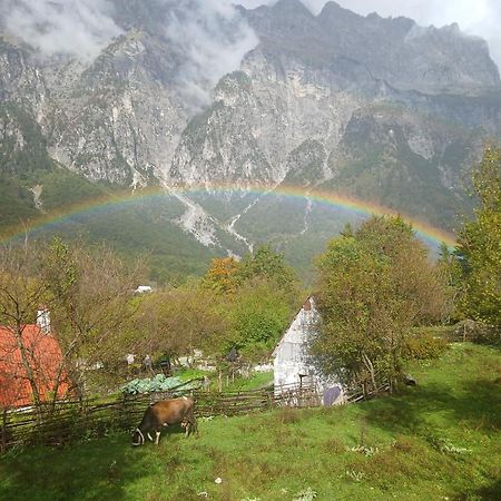 Bed and Breakfast Bujtina Milani Shkodër Esterno foto