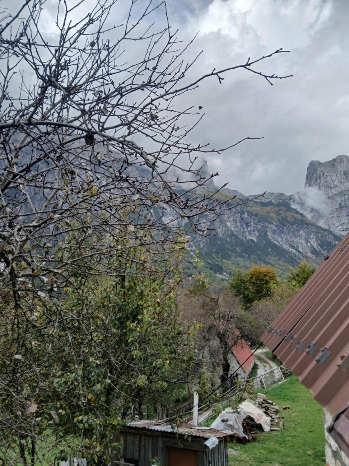 Bed and Breakfast Bujtina Milani Shkodër Esterno foto