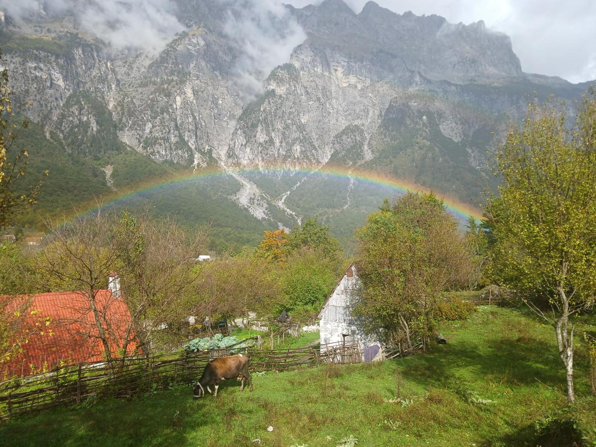 Bed and Breakfast Bujtina Milani Theth Esterno foto
